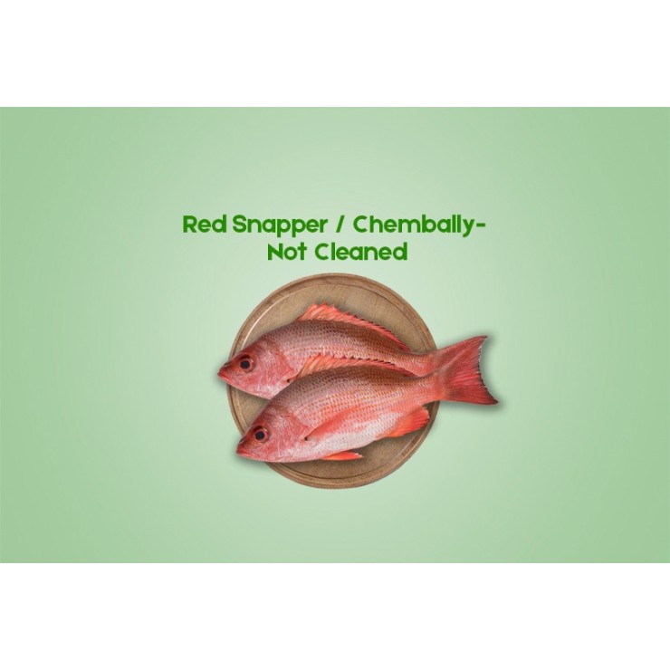 Cleaned Red Snapper / Slik Chembally (300gm)